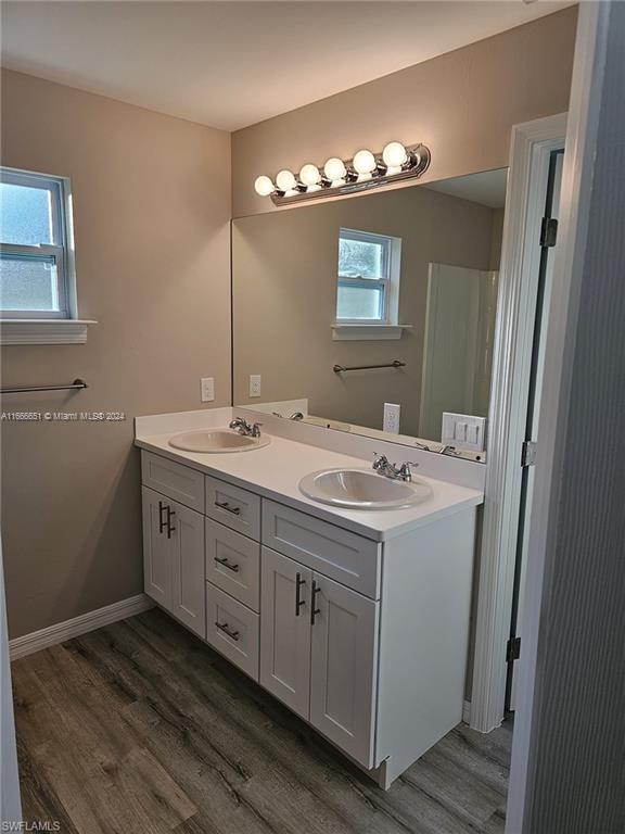 bathroom with hardwood / wood-style flooring, vanity, and a wealth of natural light