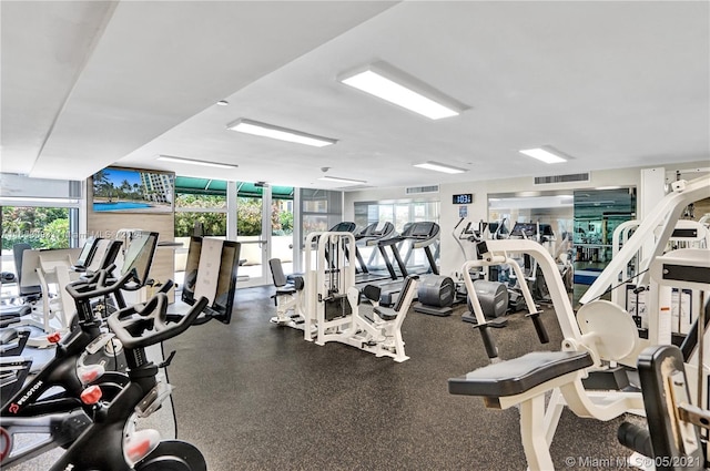 workout area featuring floor to ceiling windows