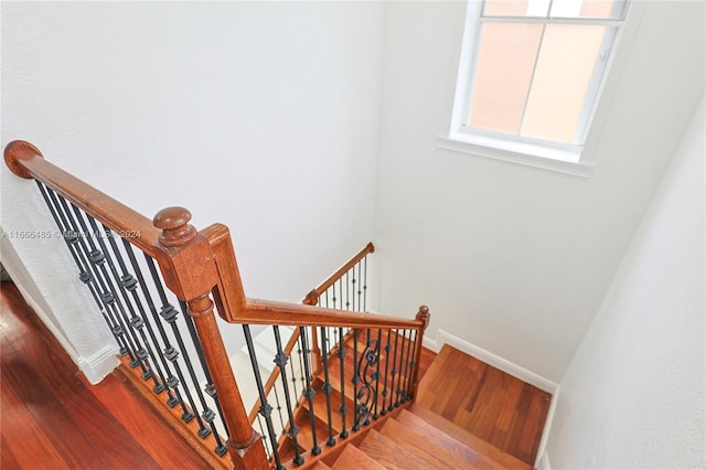 staircase with hardwood / wood-style flooring