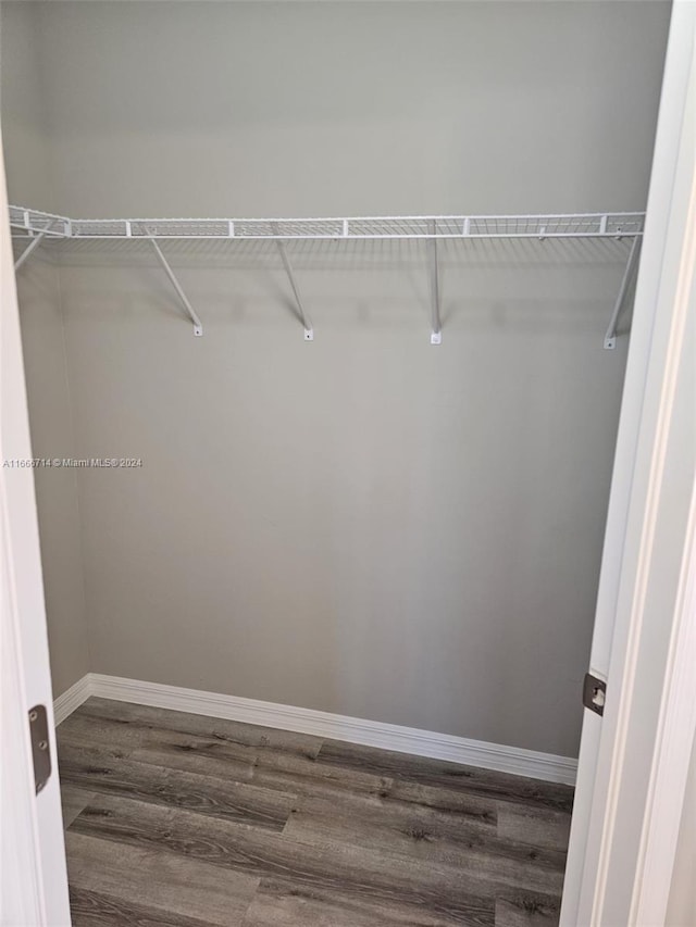 walk in closet with wood-type flooring