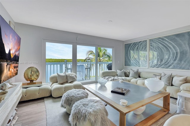 living room featuring light hardwood / wood-style floors and a water view