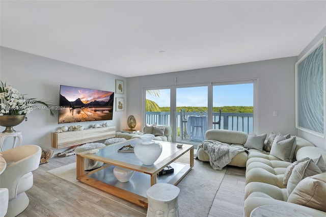 living room with light hardwood / wood-style floors