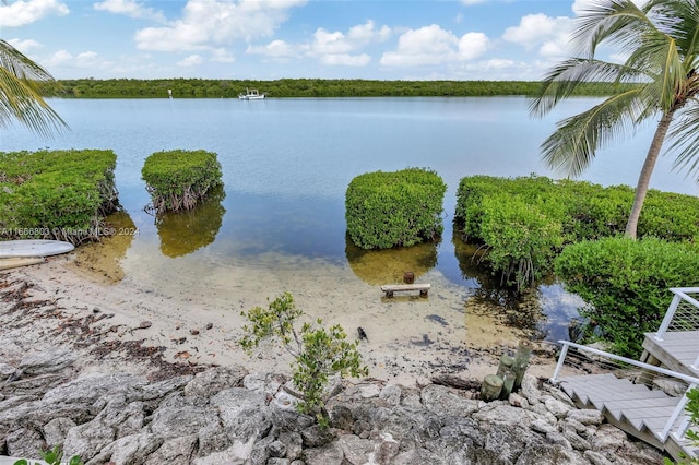 property view of water