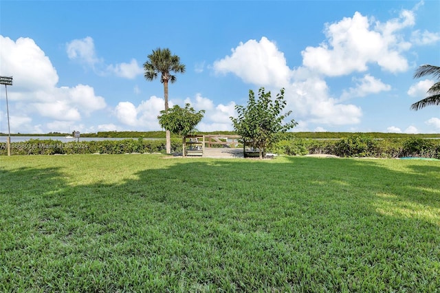 view of yard featuring a rural view