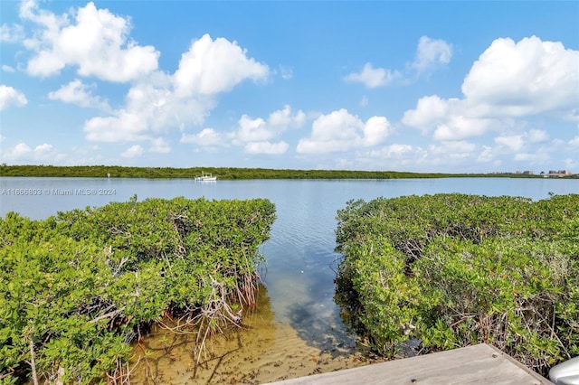 property view of water