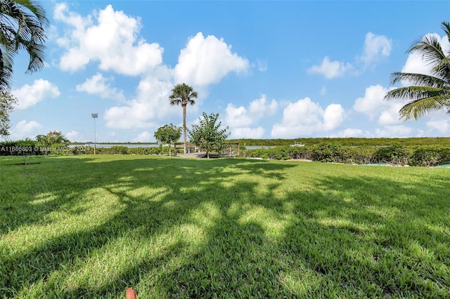 view of yard featuring a rural view