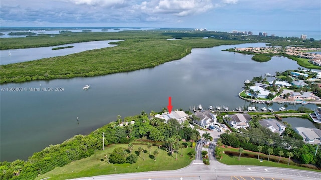 bird's eye view with a water view