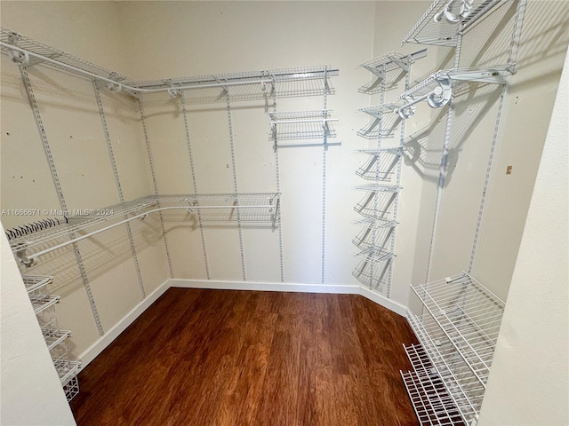 spacious closet featuring dark hardwood / wood-style flooring