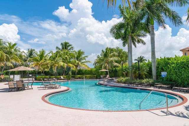 view of pool with a patio area