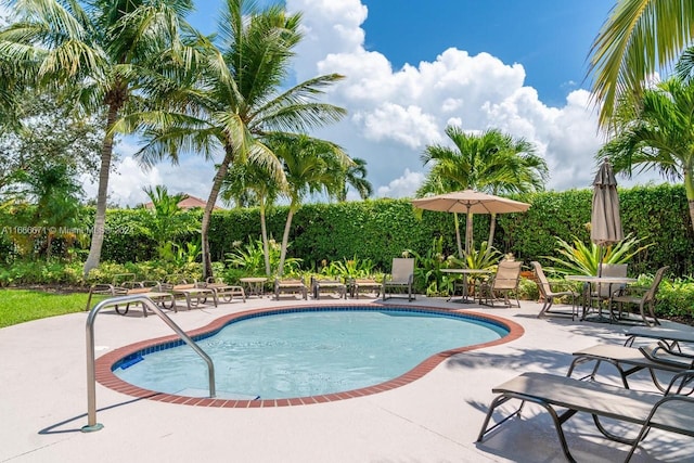 view of pool featuring a patio