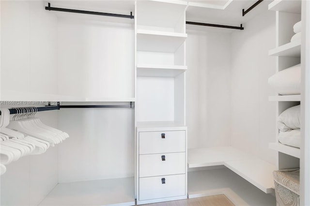 view of spacious closet