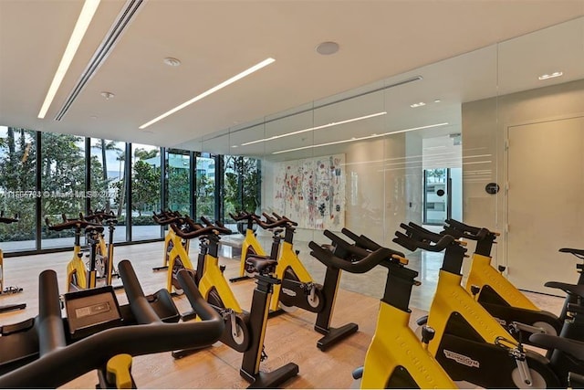 gym featuring floor to ceiling windows, light hardwood / wood-style floors, and a wealth of natural light