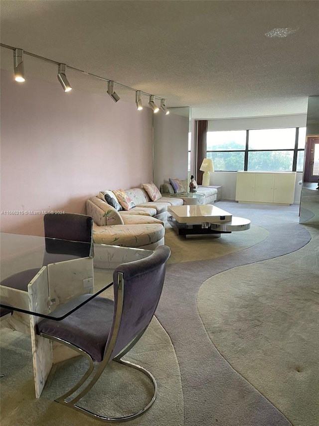 carpeted living room featuring a textured ceiling and rail lighting