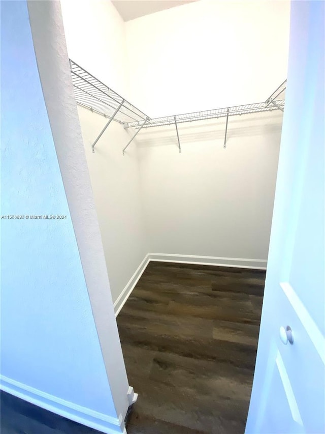 walk in closet featuring dark hardwood / wood-style floors