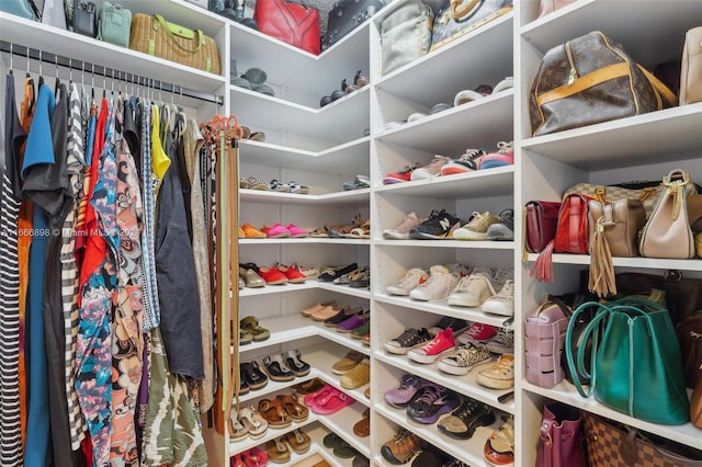 view of walk in closet