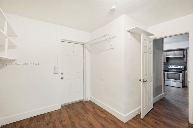 walk in closet featuring dark wood-type flooring