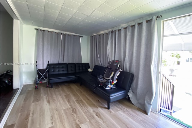 living room featuring light hardwood / wood-style floors