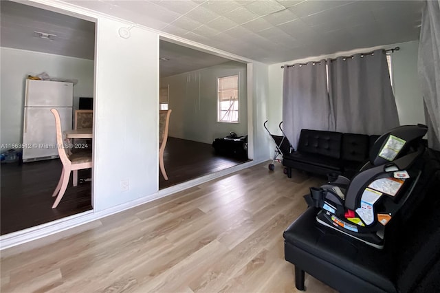 living room featuring hardwood / wood-style flooring