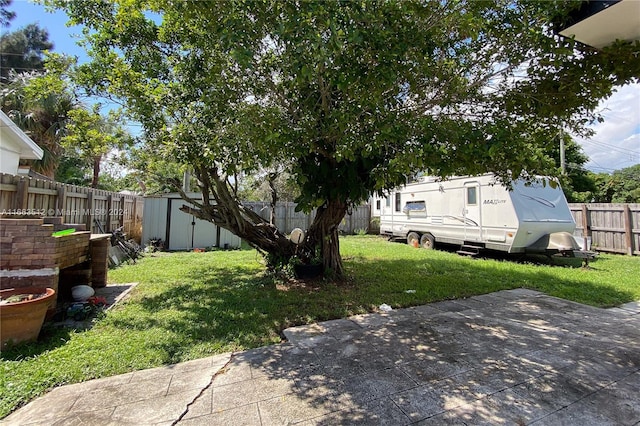 view of yard featuring a patio area and a shed