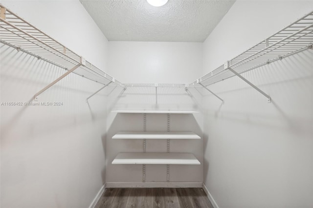 walk in closet featuring hardwood / wood-style flooring