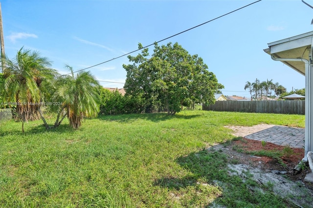 view of yard with a patio area