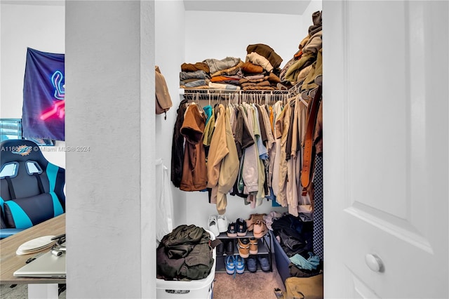 spacious closet featuring carpet