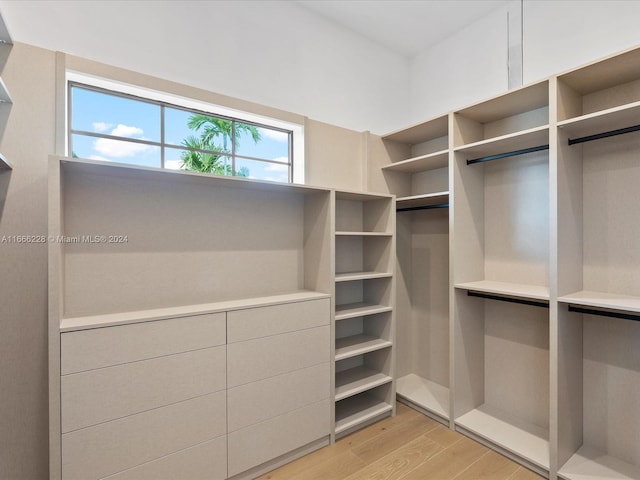 spacious closet featuring light hardwood / wood-style flooring