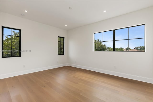 empty room with plenty of natural light and light wood-type flooring