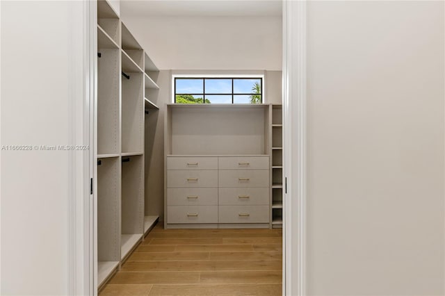 walk in closet featuring light wood-type flooring