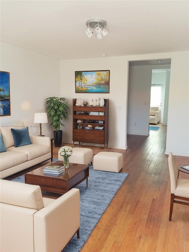 living room with wood-type flooring