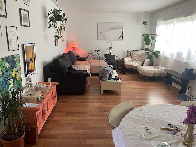 living room with dark hardwood / wood-style floors