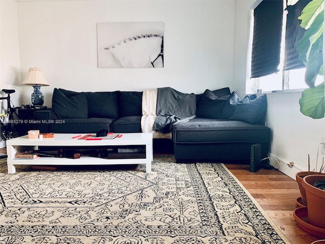 living room featuring hardwood / wood-style floors