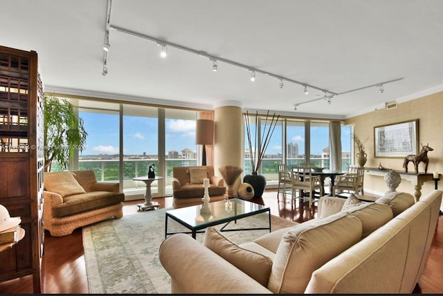 living room featuring track lighting, hardwood / wood-style floors, and a wall of windows