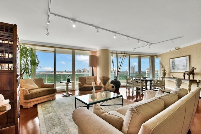 living room featuring a wall of windows, track lighting, and hardwood / wood-style flooring