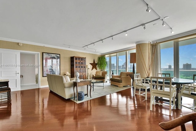 living room featuring a city view, wood finished floors, rail lighting, and crown molding