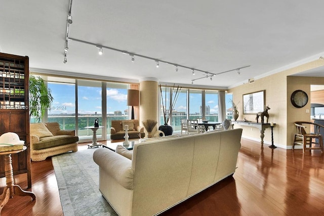 living room with rail lighting, hardwood / wood-style flooring, crown molding, and a wealth of natural light