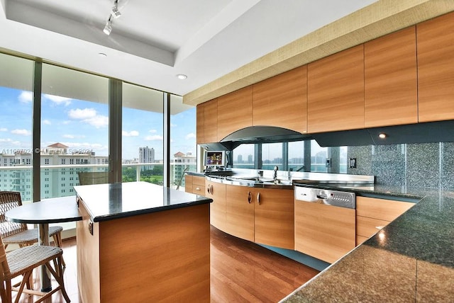 kitchen featuring tasteful backsplash, a kitchen island, rail lighting, dishwasher, and dark hardwood / wood-style flooring