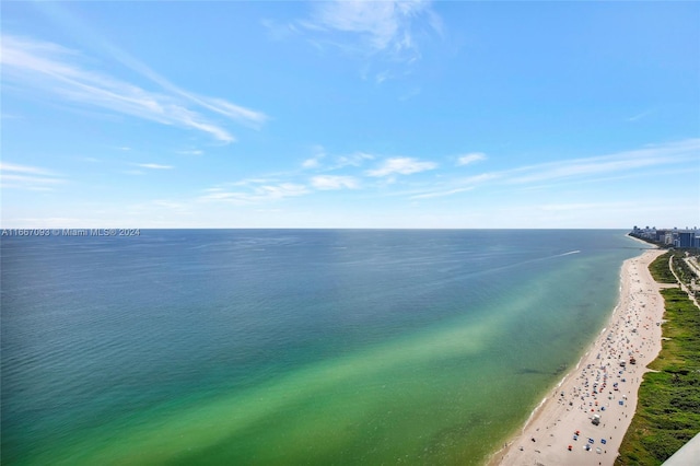 water view featuring a beach view