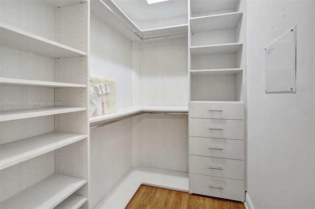 walk in closet featuring hardwood / wood-style flooring