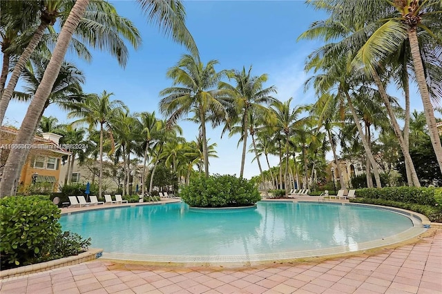 view of swimming pool with a patio