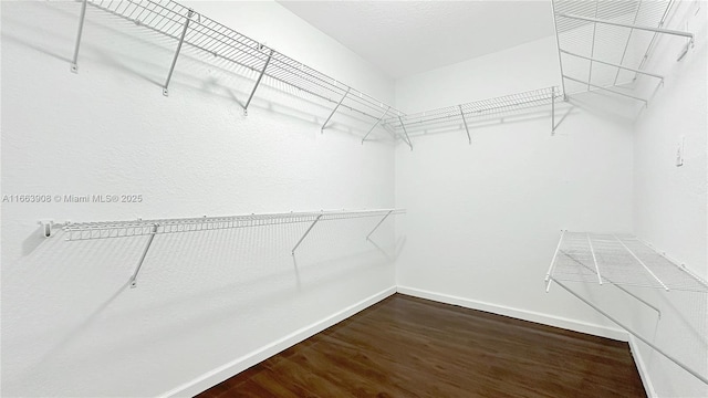 walk in closet featuring dark wood-type flooring