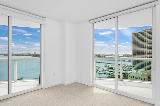 unfurnished room with a water view, carpet flooring, and plenty of natural light