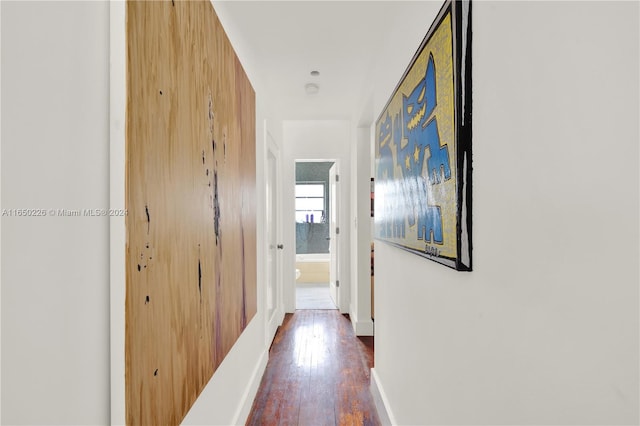 corridor with dark hardwood / wood-style flooring