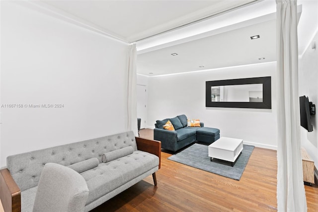 living room featuring wood-type flooring