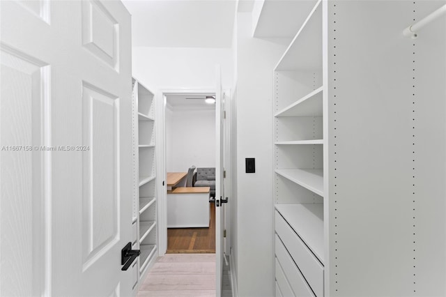 spacious closet with light wood-type flooring