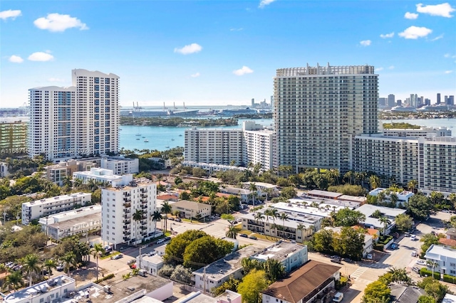 aerial view with a water view