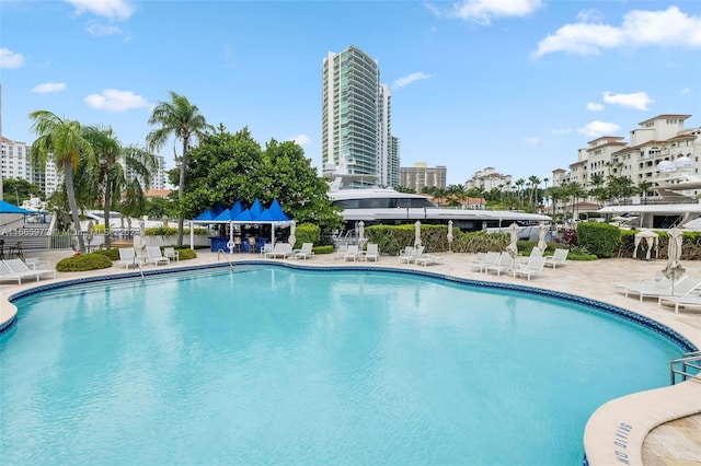 view of pool with a patio