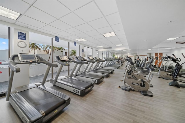 gym with a drop ceiling, floor to ceiling windows, and light hardwood / wood-style flooring