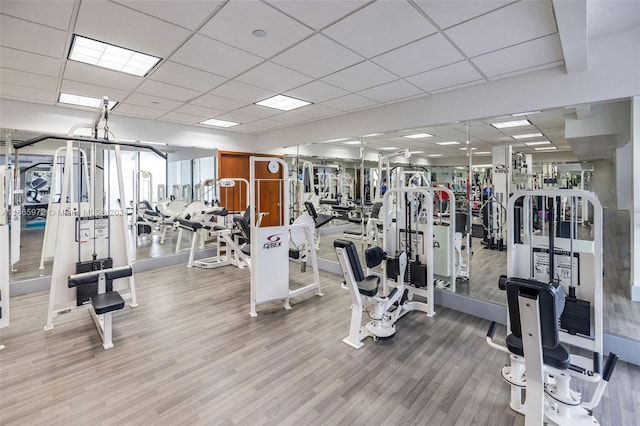 exercise room with light wood-type flooring and a paneled ceiling