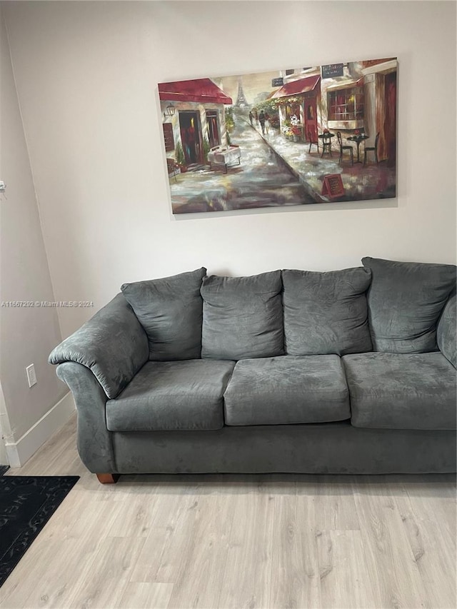 living room with hardwood / wood-style floors